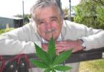 mujica-marihuana_tmb.jpg